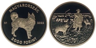2000 forint  MUDI 2022  BU