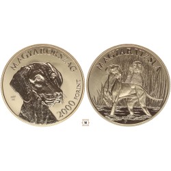 2000 forint Magyar Vizsla 2019 BP