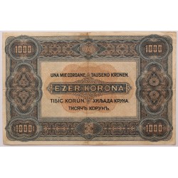 1000 korona 1920