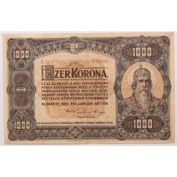 1000 korona 1920