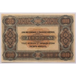 1000 korona 1920