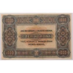 1000 korona 1920