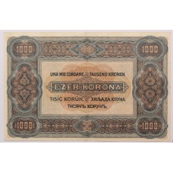 1000 korona 1920