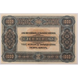 1000 korona 1920