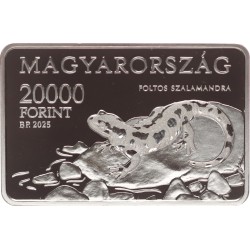 20 000 forint Aggteleki Nemzeti Park 2025 BP