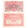 1 korona 1916/1917/, 2 korona1917/1919/ DÖ FB.
