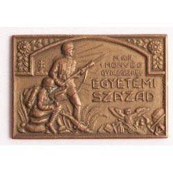 M. KIR. 1. Honvéd gyalogezred egyetemi század dísztorna plakett 1930