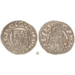 II. Ulászló 1490-1516 denár 1507 -H ÉH646 RR!