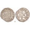 Interregnum 1440-1440 denár ÉH480 R!