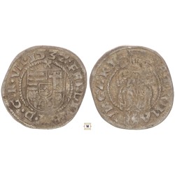 Zrínyi Miklós denár 1532 Kosztajnica RR!