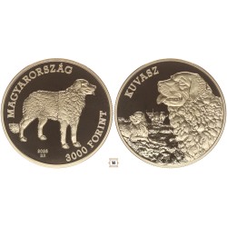 3000 forint Magyar Kutyafajták - Kuvasz 2025 BP