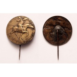 Magyar Nemzeti Szövetség 1919 jelvény