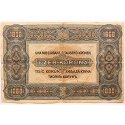 1000 korona 1920