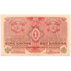 1 korona 1916