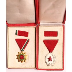 Hoffmann István spanyolos veterán és francia ellenálló hagyatéka, benne Zalka Máté Emlékérem