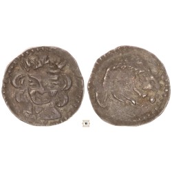 Vencel 1301-05 denár ÉH346