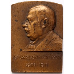 Dr. Vázsonyi Vilmos 1901-11 bronz plakett