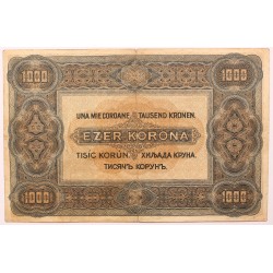 1000 korona 1920