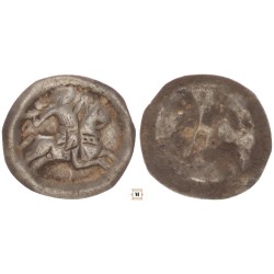 Bracteata ÉH 121