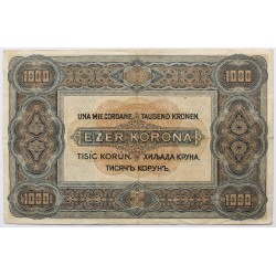 1000 korona 1920