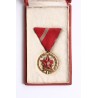 Kiváló szolgálatért érdemérem 1954 dobozában