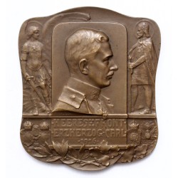 Károly főherceg hadseregcsoport 1916 bronz plakett, H.Kautsch