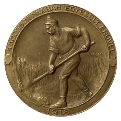 A közös munkában egyesült erővel 1918 Magyar Vöröskereszt érem
