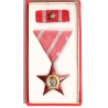 MNK érdemérem arany fokozata miniatűrrel dobozában