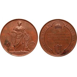MOTV - Máramaros 1876 bronzérem