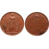 MOTV - Máramaros 1876 bronzérem