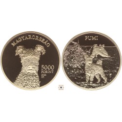 5000 forint Magyar Kutyafajták - Pumi 2026 BP