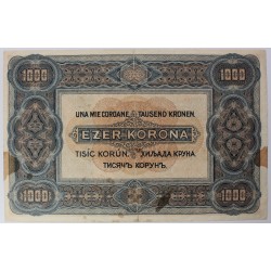 1000 Korona 1920